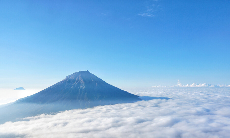 Shutterstock 1339819955 (1)